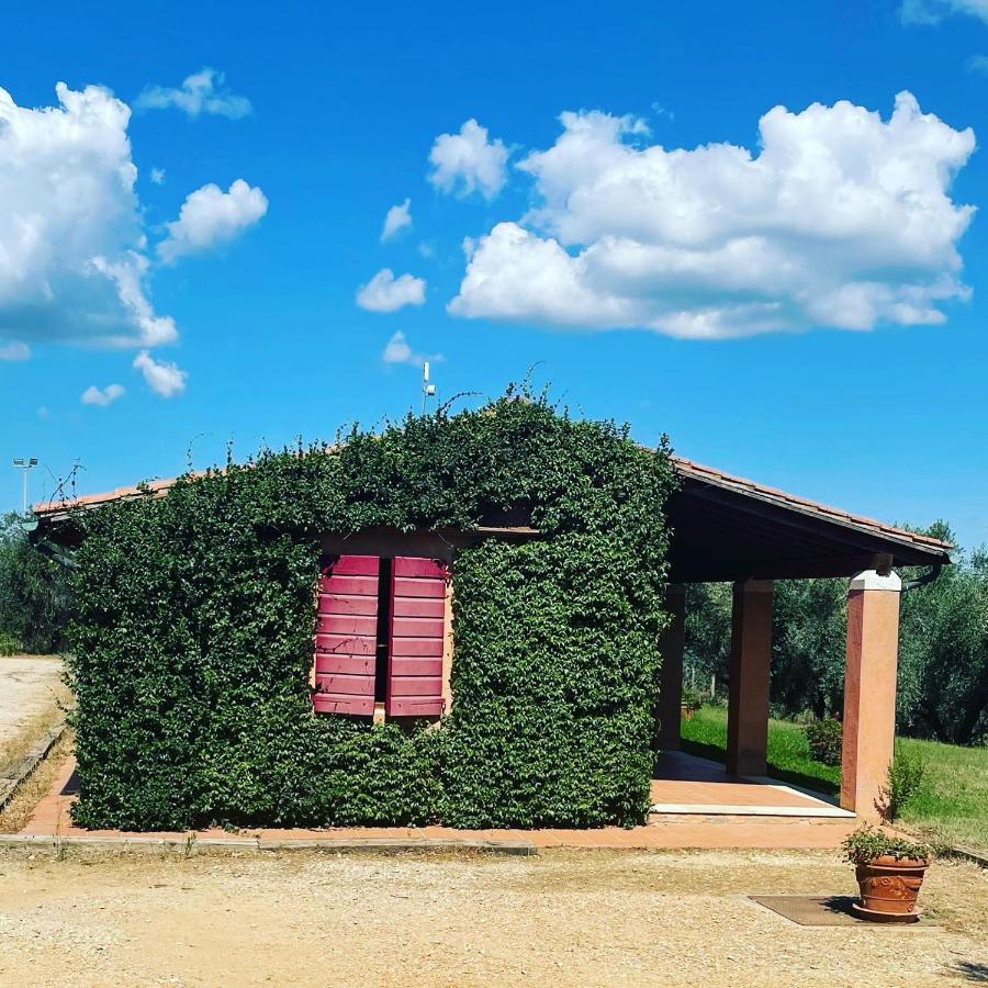 Tenuta Agricola Fraschiera Villa Massa Marittima Dış mekan fotoğraf