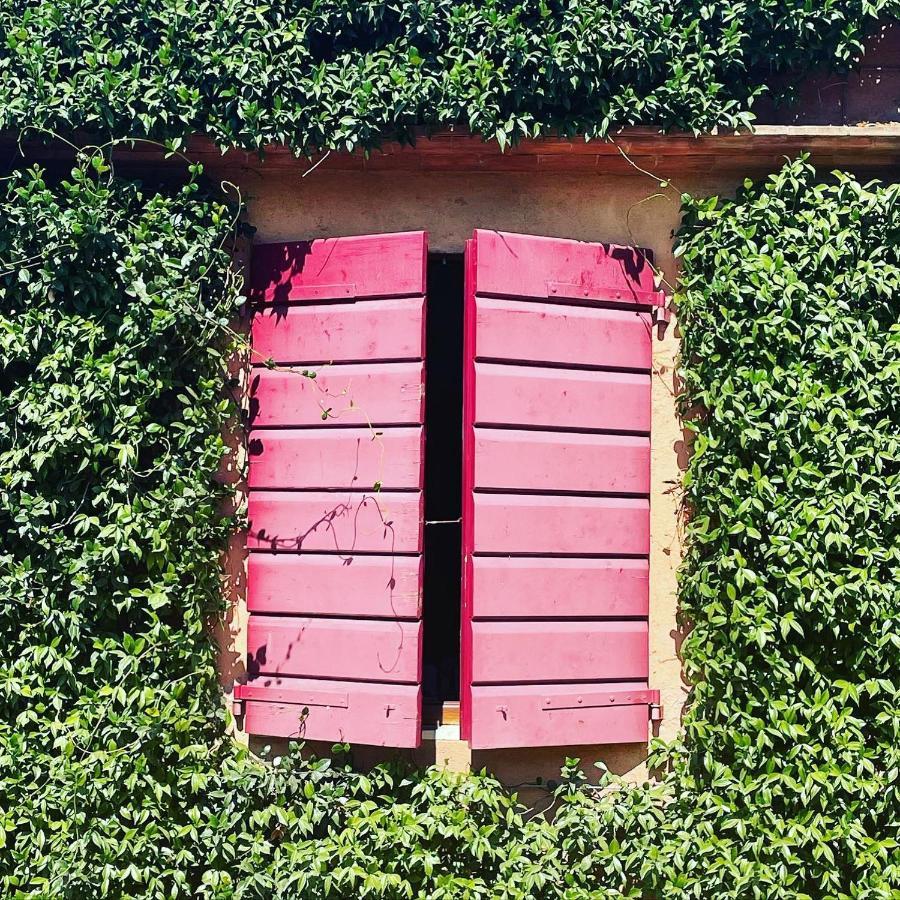 Tenuta Agricola Fraschiera Villa Massa Marittima Dış mekan fotoğraf