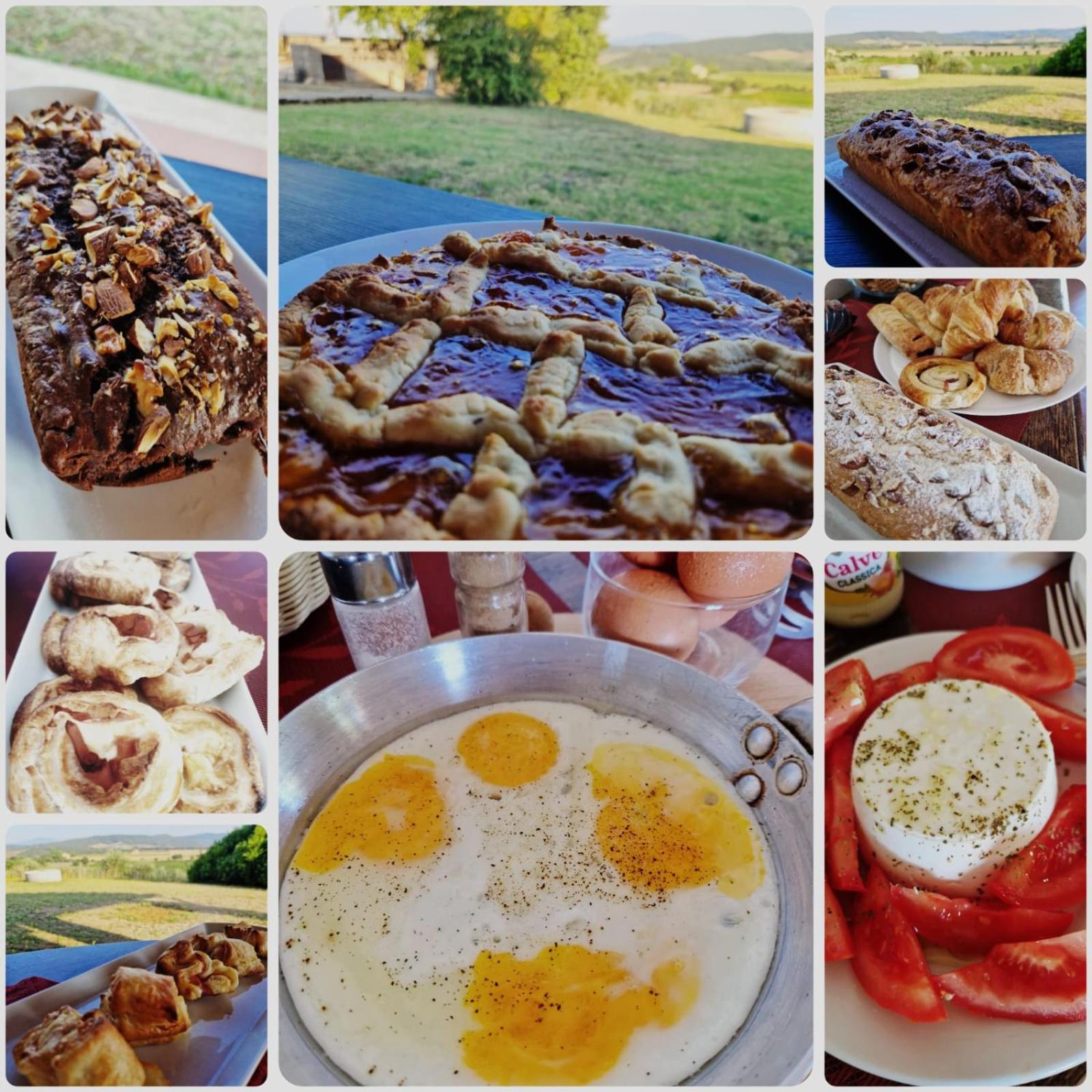 Tenuta Agricola Fraschiera Villa Massa Marittima Dış mekan fotoğraf