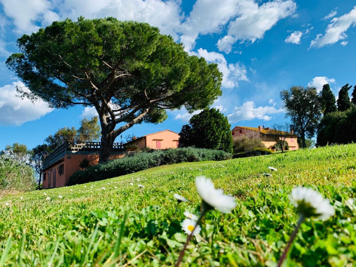 Tenuta Agricola Fraschiera Villa Massa Marittima Dış mekan fotoğraf