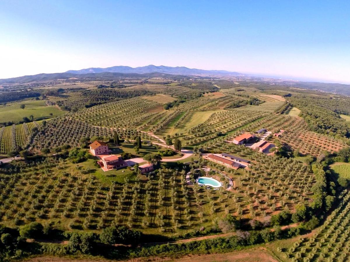 Tenuta Agricola Fraschiera Villa Massa Marittima Dış mekan fotoğraf