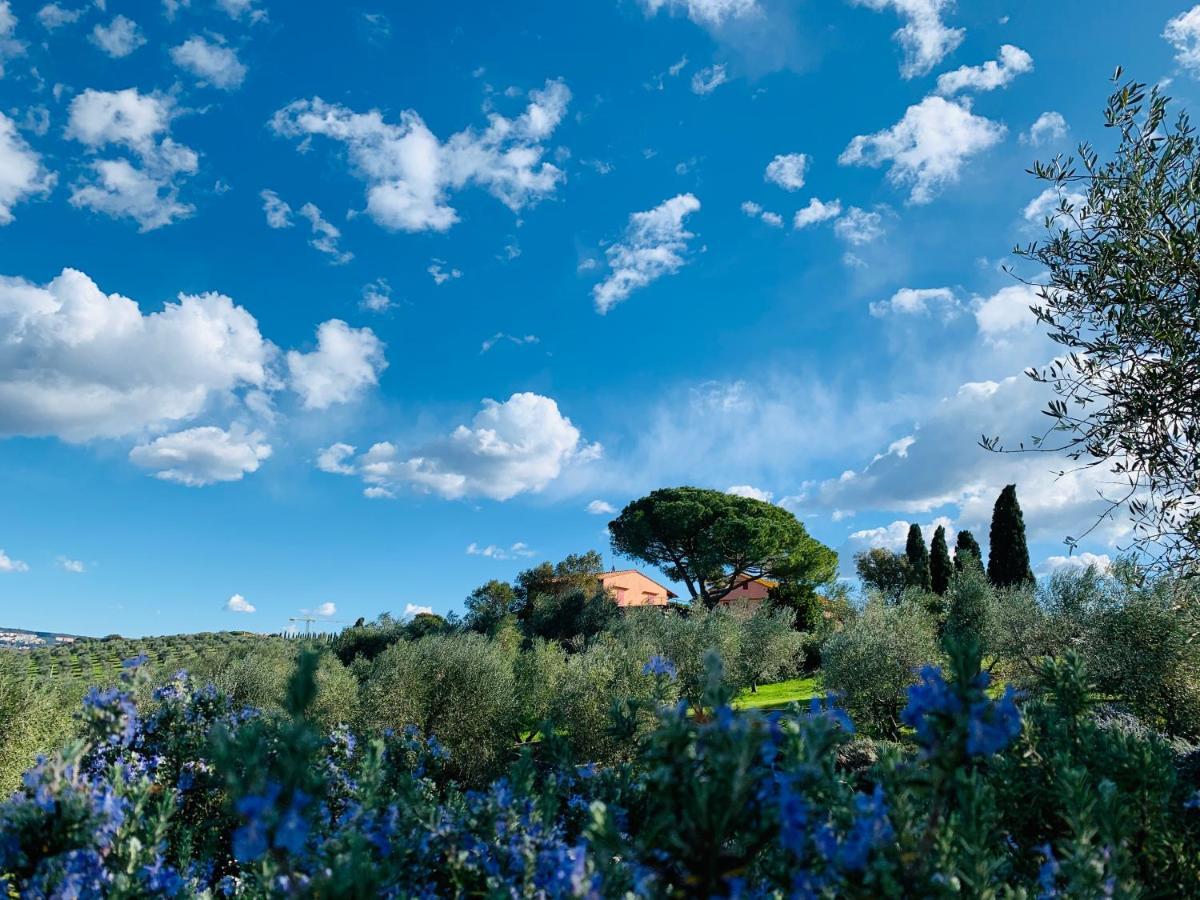 Tenuta Agricola Fraschiera Villa Massa Marittima Dış mekan fotoğraf