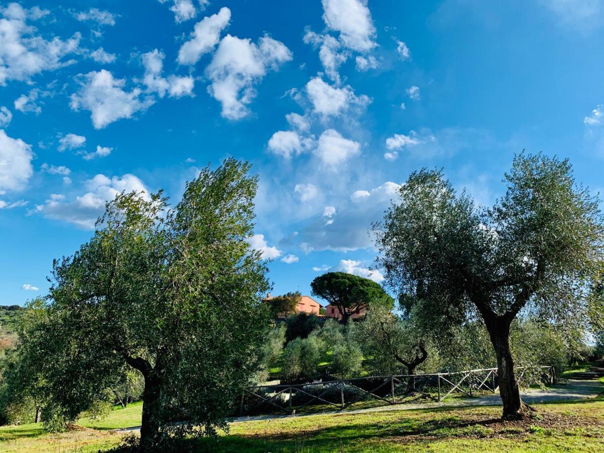 Tenuta Agricola Fraschiera Villa Massa Marittima Dış mekan fotoğraf