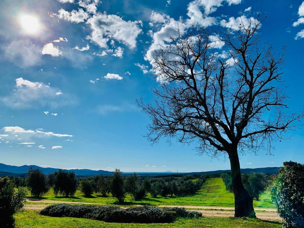 Tenuta Agricola Fraschiera Villa Massa Marittima Dış mekan fotoğraf