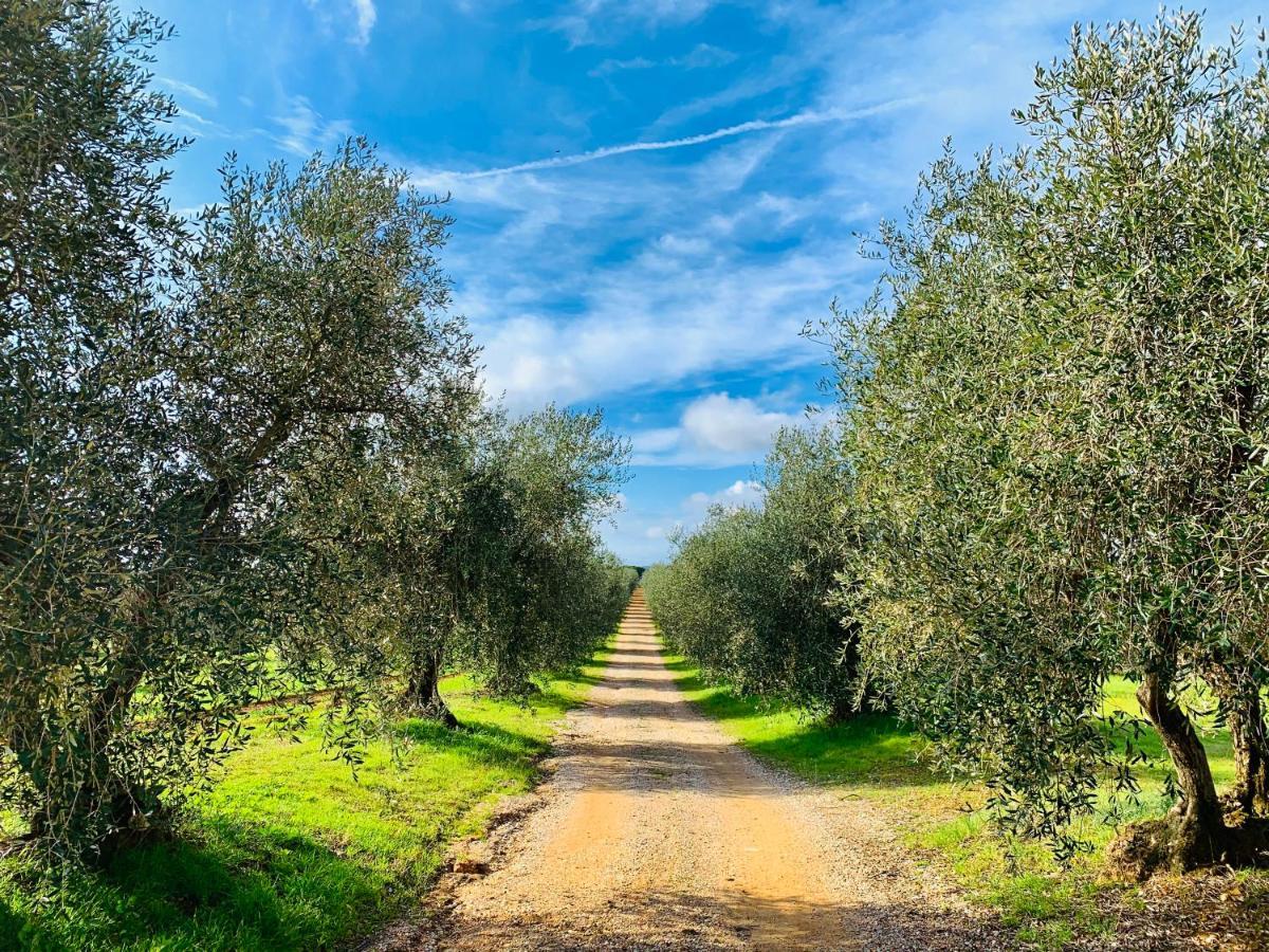 Tenuta Agricola Fraschiera Villa Massa Marittima Dış mekan fotoğraf