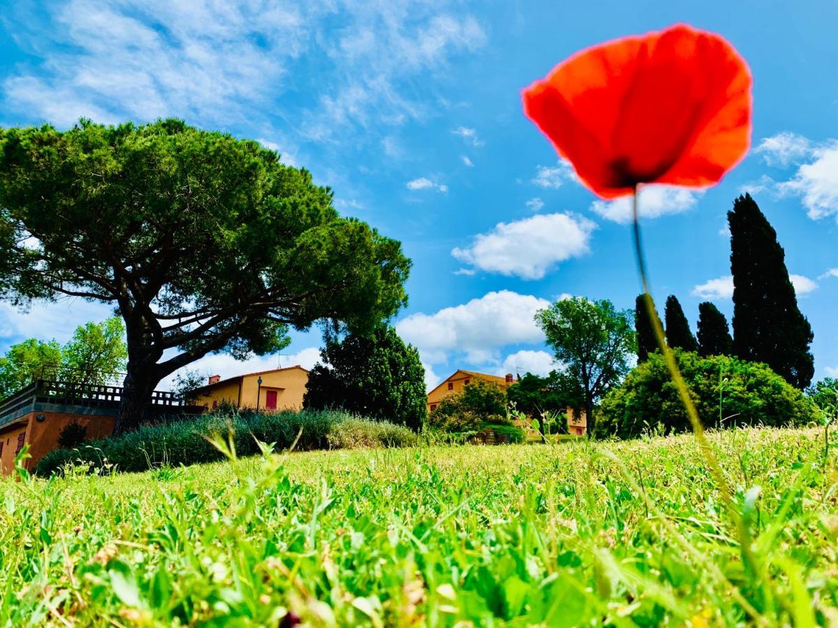 Tenuta Agricola Fraschiera Villa Massa Marittima Dış mekan fotoğraf