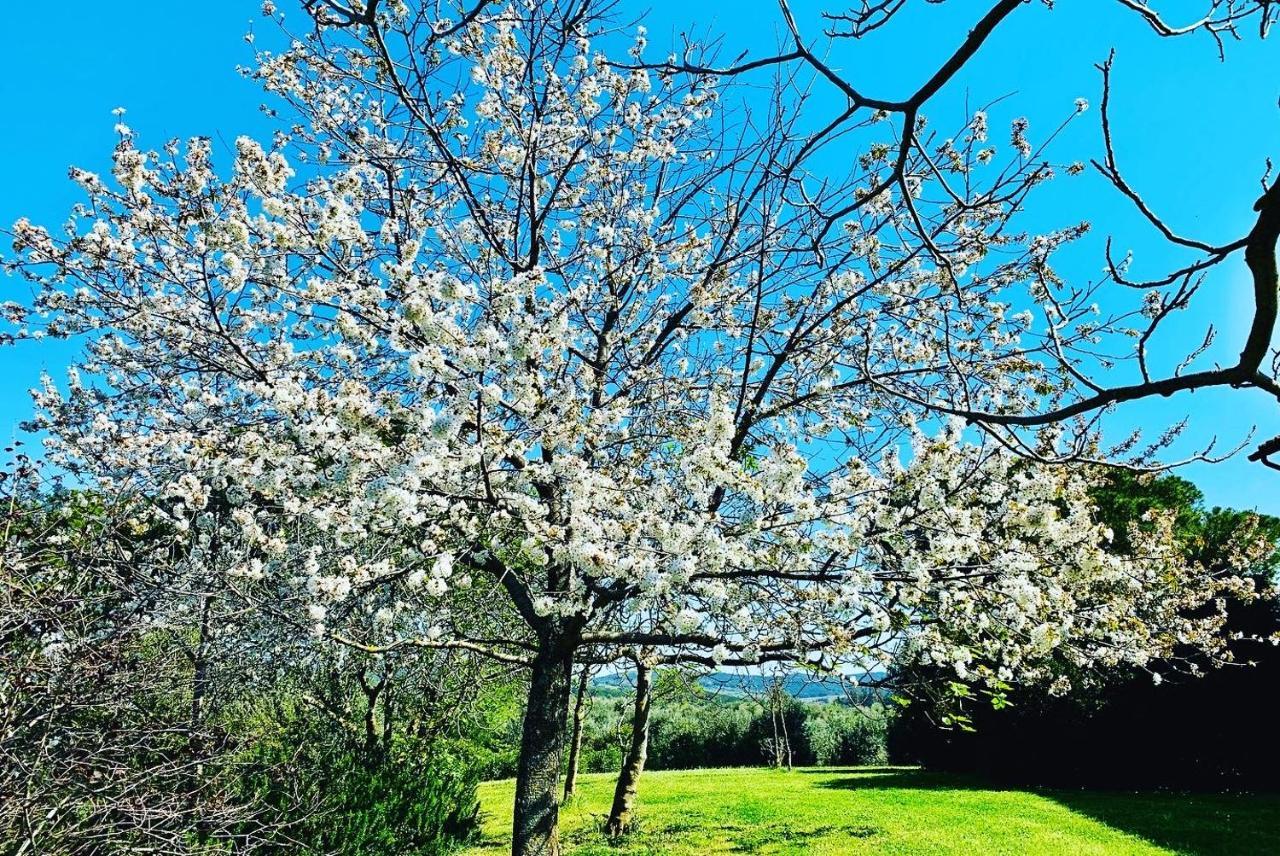 Tenuta Agricola Fraschiera Villa Massa Marittima Dış mekan fotoğraf